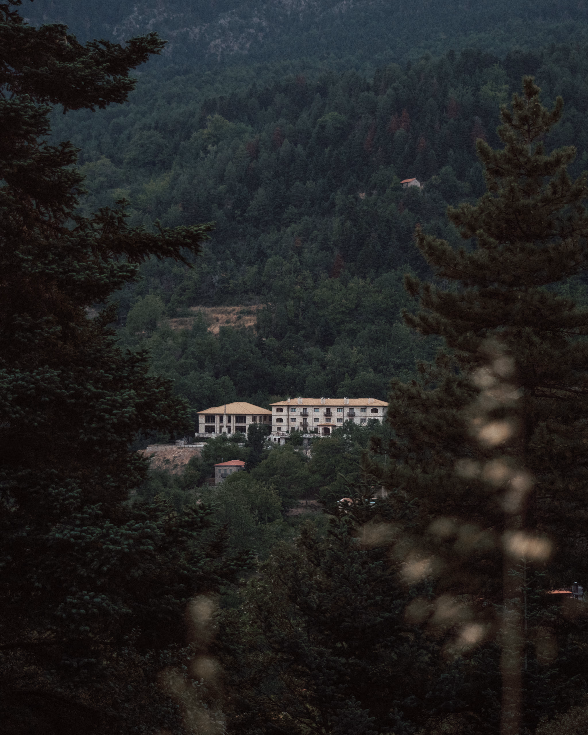 Το Styga Mountain Resort ανάμεσα στα έλατα